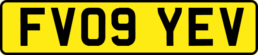 FV09YEV
