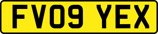 FV09YEX
