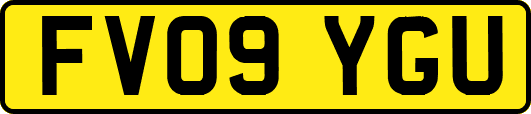 FV09YGU