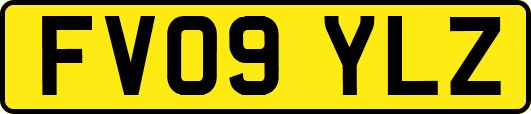 FV09YLZ