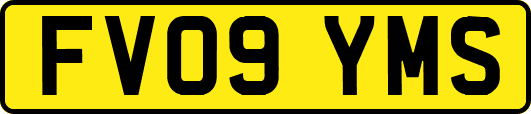 FV09YMS