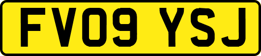 FV09YSJ