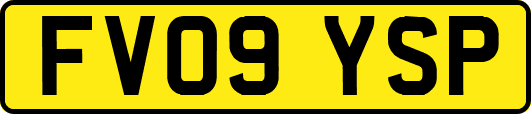 FV09YSP