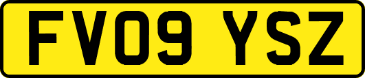 FV09YSZ