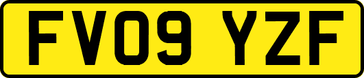 FV09YZF