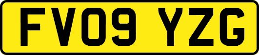 FV09YZG
