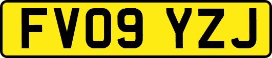 FV09YZJ