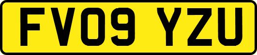 FV09YZU