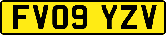 FV09YZV