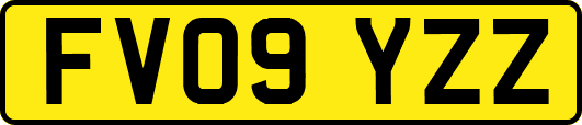 FV09YZZ