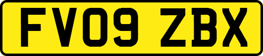 FV09ZBX