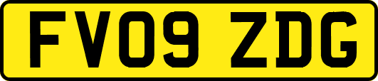FV09ZDG
