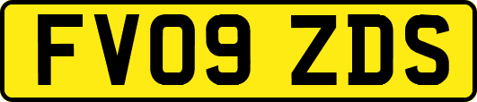 FV09ZDS