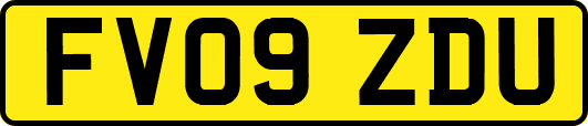 FV09ZDU