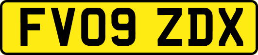 FV09ZDX
