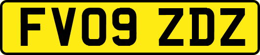 FV09ZDZ