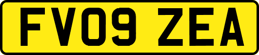 FV09ZEA