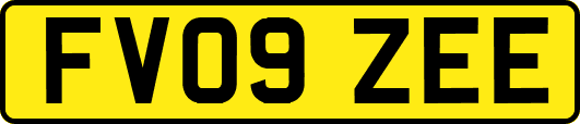 FV09ZEE