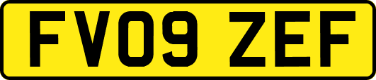 FV09ZEF
