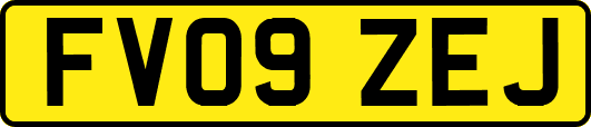 FV09ZEJ