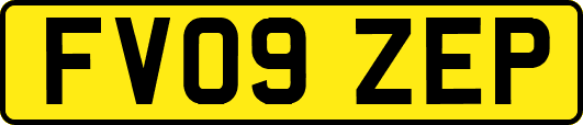 FV09ZEP