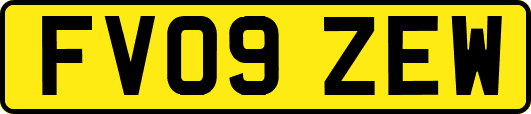 FV09ZEW