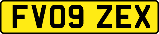 FV09ZEX