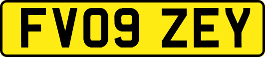 FV09ZEY