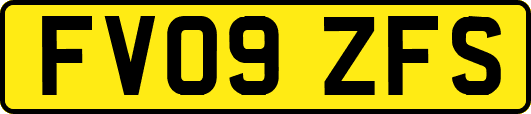 FV09ZFS