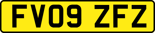 FV09ZFZ