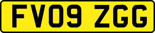 FV09ZGG