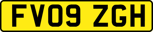 FV09ZGH
