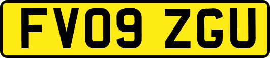 FV09ZGU