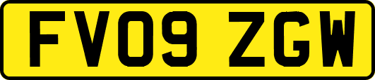 FV09ZGW