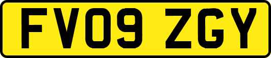 FV09ZGY