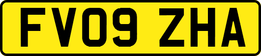 FV09ZHA