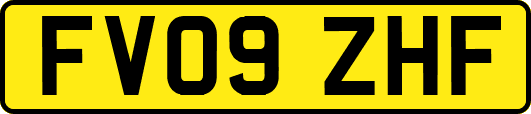 FV09ZHF