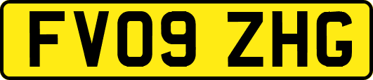 FV09ZHG