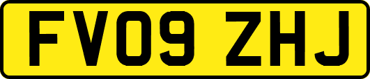 FV09ZHJ