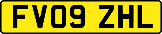 FV09ZHL