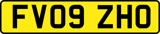 FV09ZHO