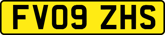 FV09ZHS