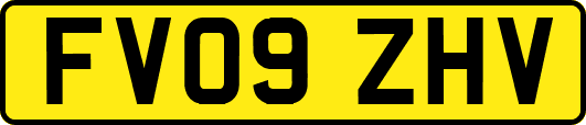 FV09ZHV