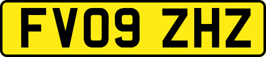 FV09ZHZ