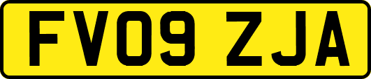 FV09ZJA