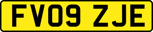 FV09ZJE
