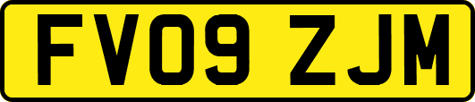 FV09ZJM