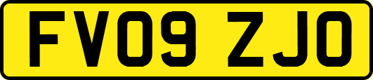 FV09ZJO