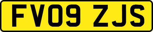FV09ZJS