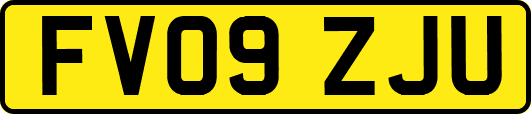 FV09ZJU